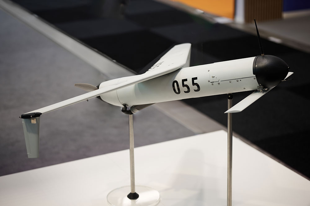 TMS_0217_Hornet.jpg